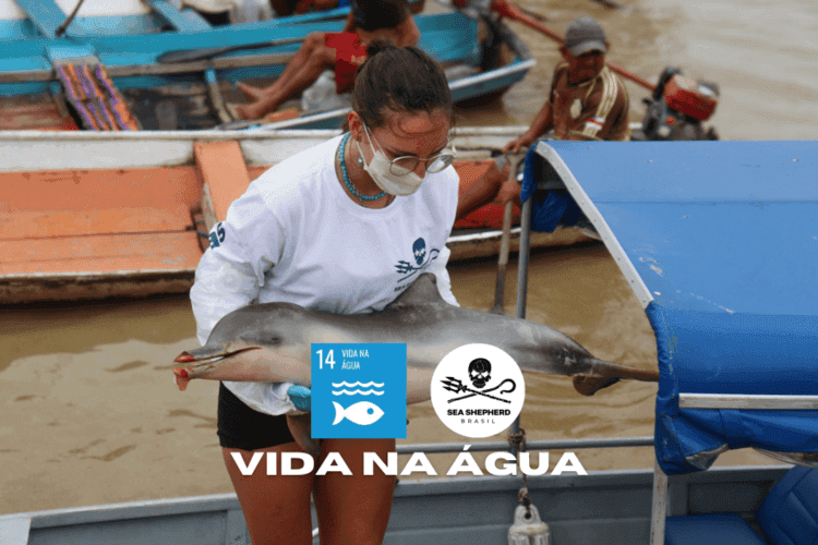 Ajude a Salvar os Botos e Peixes-Boi da Amazônia - Thumbnail 2