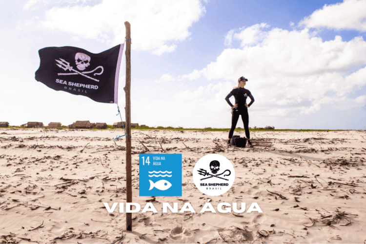 Seja um Ativista Doador na defesa da Vida Aquática